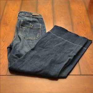 Pilcro & the Letterpress Wide Leg High Waist Crop